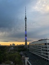 Объявление от Елена - фото №1