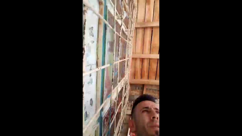 Orhan Taşkın - Live