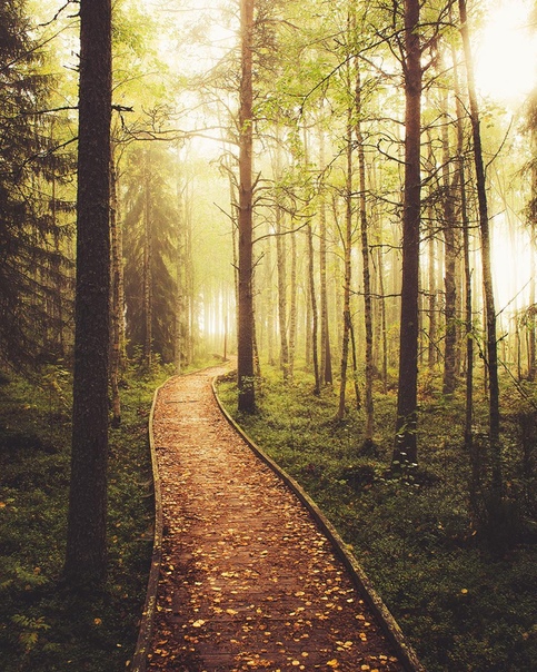 Rovaniemi, Finland