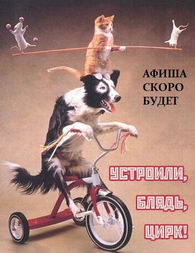 Афиша Саратов Всероссийский фестиваль поэзии "ЦентрВесны"