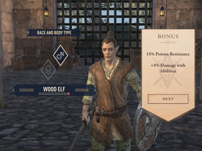 Лесные эльфы в The Elder Scrolls Blades