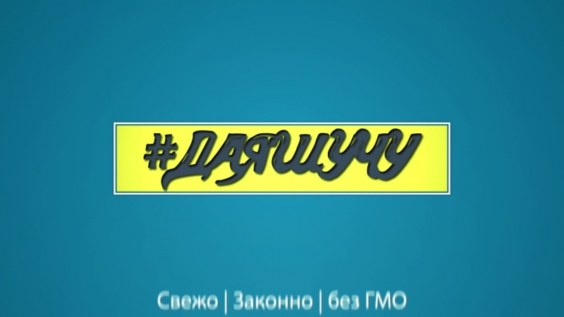 даяшучу промо