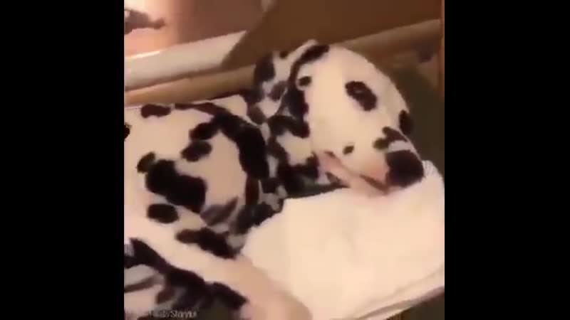 Мамина забота