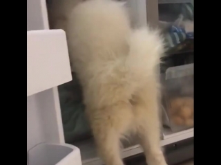 К чёрту это ваше лето...