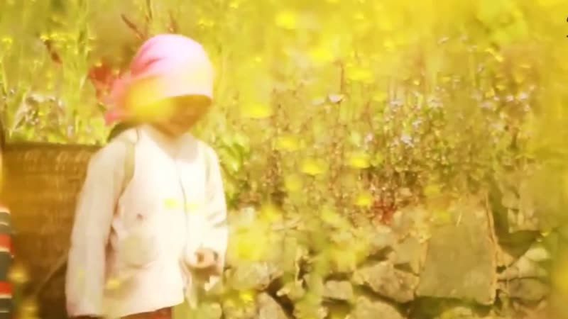Văn hóa vùng miền Việt Nam