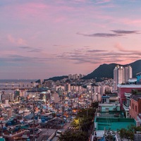 Абидат Магомедова