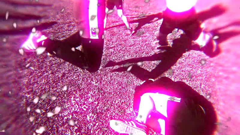 ☠Vine SMR-Samara☠