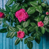 Татьяна Счастливая | Калинковичи