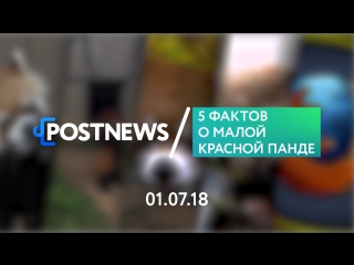 01.07 | 5 фактов о малой панде