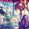 id4444648