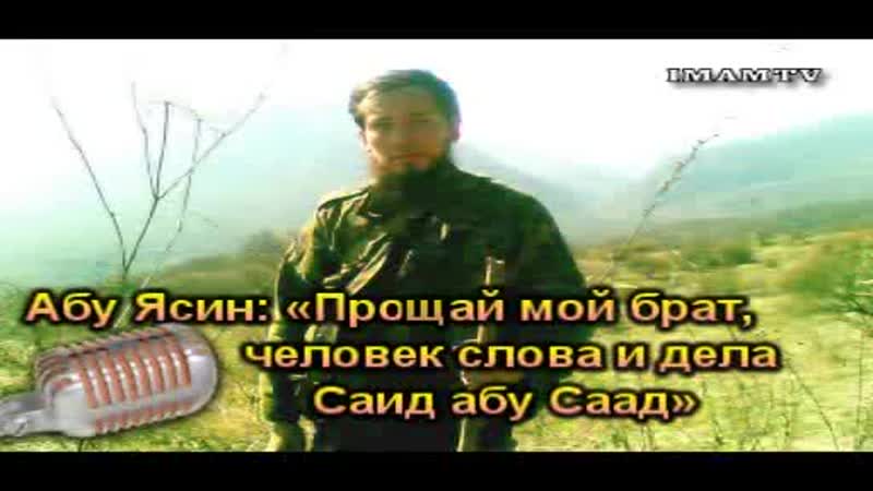саид абу саад