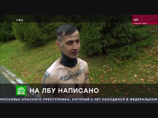 Чрезвычайное происшествие - 25.10.2018
