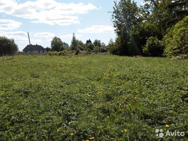 СРОЧНАЯ ПРОДАЖА. Торг уместен. Продается земельный участок 45 соток в Псковской обл. Островском р-оне, Д. Коломница. Тихое, спокойное место. Шикарная природа! Подойдет как для любителей тишины и дикой природы, так и для общительной, веселой молодежи. Выигрышное местоположение для отдыха. Участок земли расположен на берегу реки Великой. Данная река отличается своей непоколебимой свежестью и чистотой. Речные прогулки порадуют как Вас, так и Ваших близких. Грибной лес находится в пешей доступности. Любителей рыбалки и грибов данная местность будет только приветствовать! А свежий воздух надолго запомнится в памяти. Великолепный ландшафт и непревзойденная флора и фауна не оставят равнодушными даже самого строгого критика. <br>На территории земельного участка расположен гараж со всеми коммуникациями (свет, вода), готовый фундамент под дом. Рядом с гаражом расположен рудник. Имеется замечательный плодоносящий сад, также на земельном участке имеется еще ключ с рудниковой водой. Сама земля выравнена. Идеальный вариант для дачи или фермерского хозяйства. Проблем с проездом на земельный участок не возникнет. Документы готовы. Сделка хоть завтра.<br>Участок 45 сот<br>21.333 Р за сотку - фото Фото: СРОЧНАЯ ПРОДАЖА. Торг уместен. Продается земельный участок 45 соток в Псковской обл. Островском р-оне, Д. Коломница. Тихое, спокойное место. Шикарная природа! Подойдет как для любителей тишины и дикой природы, так и для общительной, веселой молодежи. Выигрышное местоположение для отдыха. Участок земли расположен на берегу реки Великой. Данная река отличается своей непоколебимой свежестью и чистотой. Речные прогулки порадуют как Вас, так и Ваших близких. Грибной лес находится в пешей доступности. Любителей рыбалки и грибов данная местность будет только приветствовать! А свежий воздух надолго запомнится в памяти. Великолепный ландшафт и непревзойденная флора и фауна не оставят равнодушными даже самого строгого критика. <br>На территории земельного участка расположен гараж со всеми коммуникациями (свет, вода), готовый фундамент под дом. Рядом с гаражом расположен рудник. Имеется замечательный плодоносящий сад, также на земельном участке имеется еще ключ с рудниковой водой. Сама земля выравнена. Идеальный вариант для дачи или фермерского хозяйства. Проблем с проездом на земельный участок не возникнет. Документы готовы. Сделка хоть завтра.<br>Участок 45 сот<br>21.333 Р за сотку