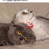 Юлия Иванова