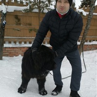 Дмитрий Северов | Вологда