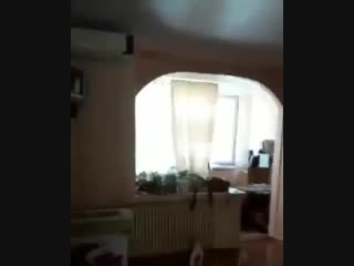 CRAZY NEWS NOW( mass-media & video) 📹Веселое утро - Веселые Соседи Happy Morning - Merry Neighbors