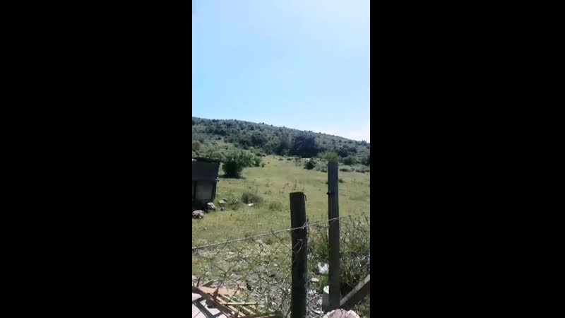 VID_20160824_033347_137.mp4