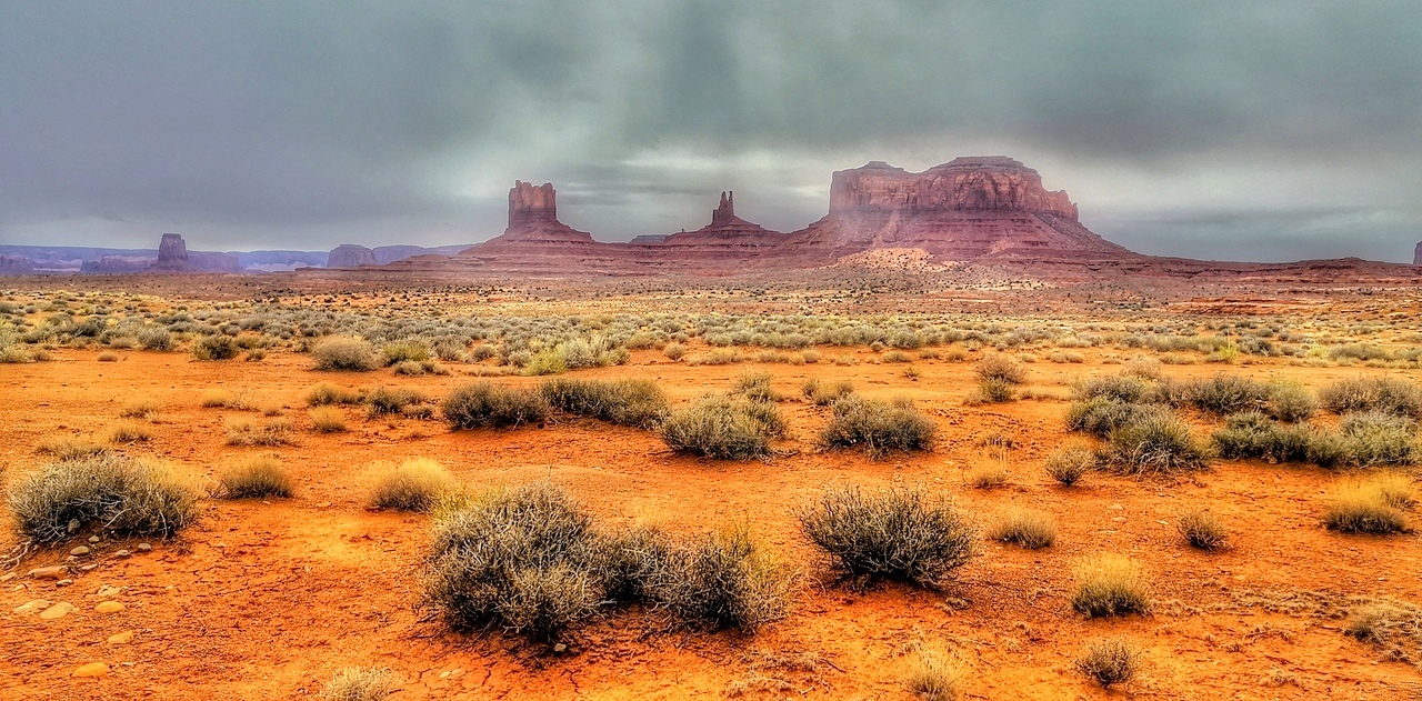 Ударим автопробегом по дикому западу! USA 2019 7-25 марта.