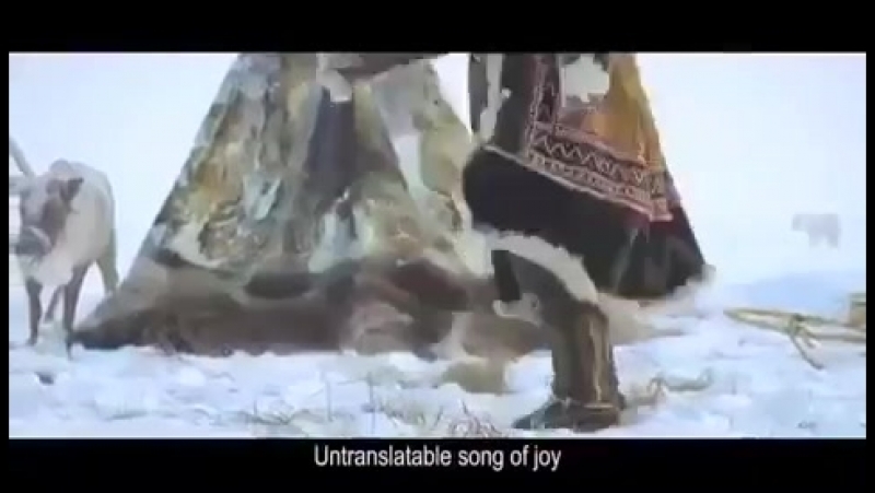 Ямальские болельщики -)
