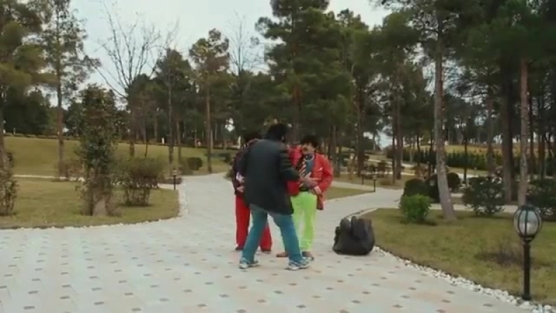 Fali qawdi