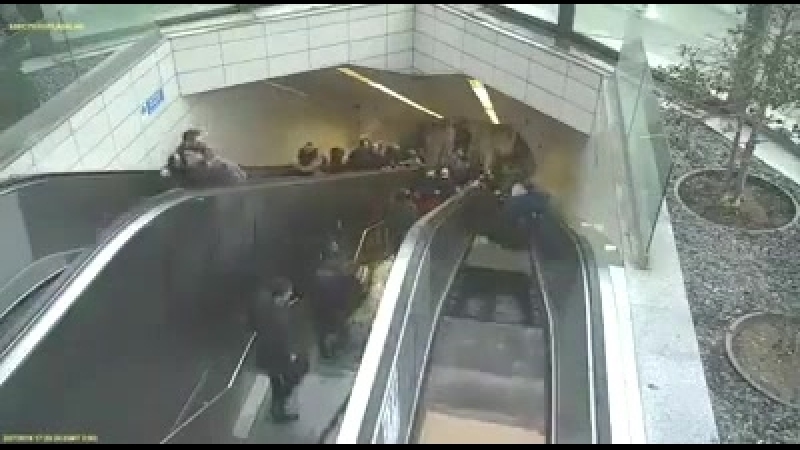 Эскалатор захомячил толпу