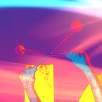 Илона Кригова