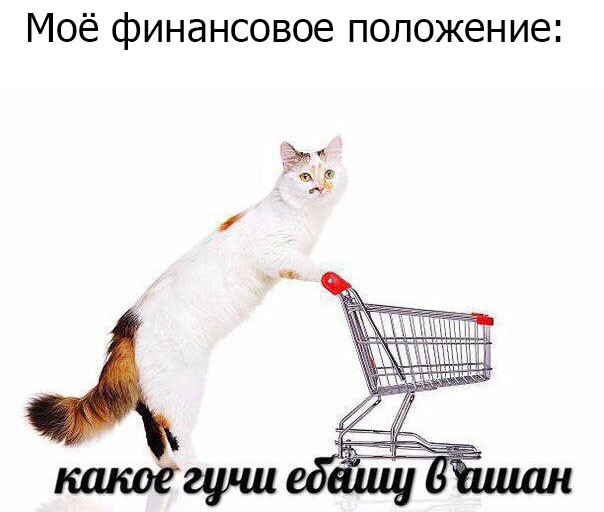 https://pp.userapi.com/c845019/v845019499/13487a/CbSxpLvpCP4.jpg