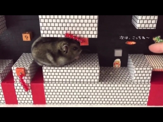 Хомяк Марио (VHS Video)