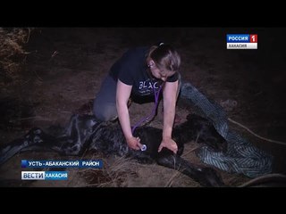 Настоящая спасательная операция развернулась сегодня ночью в Усть - Абаканском районе. 24.04.2018