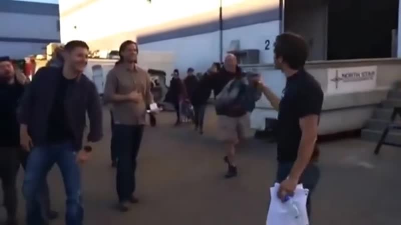 BrvCierl_xc.mp4