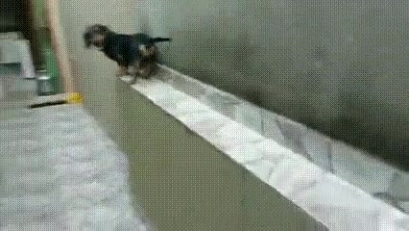 Включить задний ход