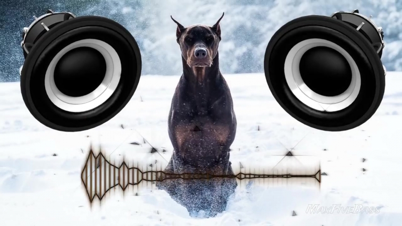 ZHU - JET, THE DOBERMAN (BassBOOST)