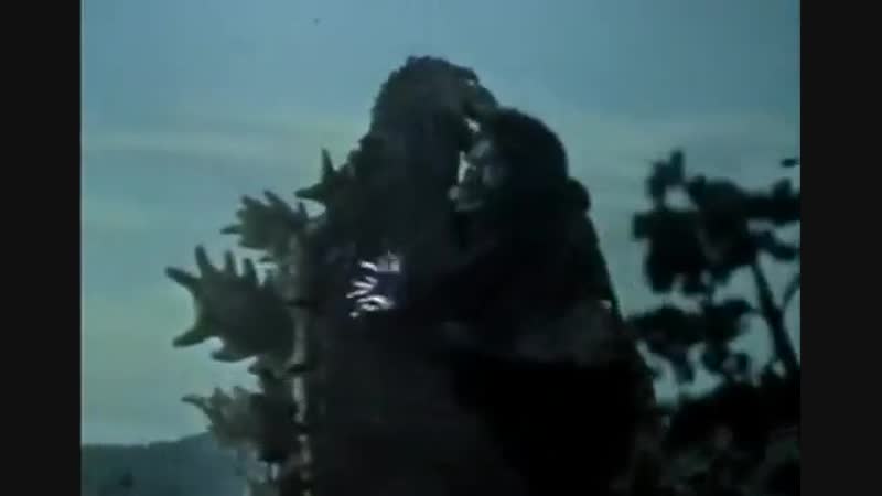 2_5431814584853857015.mp4