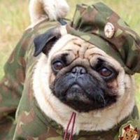 Алёна Розова | 