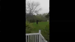 Rutube