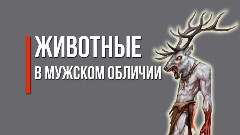 Животные в мужском обличии (dislive)