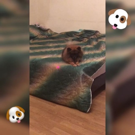Amino_sunzo video