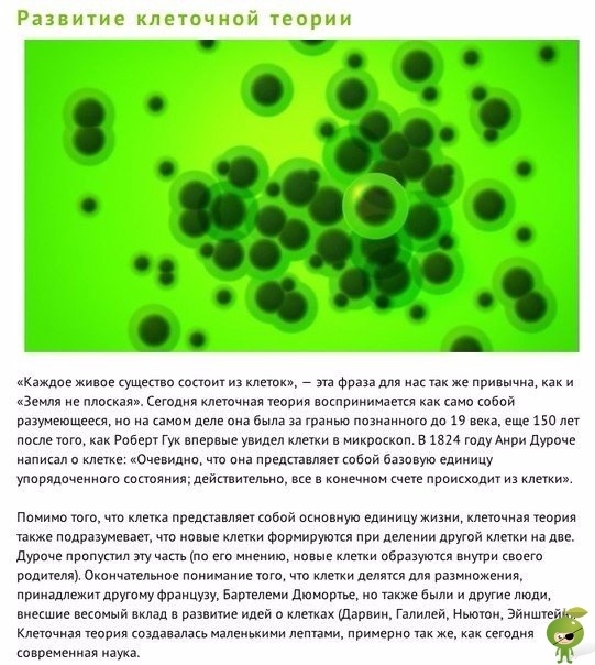 10 важнейших открытий в биологии Довольно просто забыть, что идеи, которые кажутся очевидными для нас сегодня, веками оттачивались коллективом умных людей, а не появлялись просто так. Тот факт,