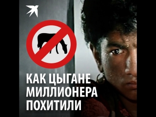 Как цыгане миллионера похитили