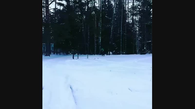 VID_127401204_021625_633.mp4