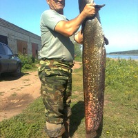 Владимир Клусов | 