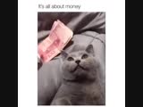 Деньги всё решают!