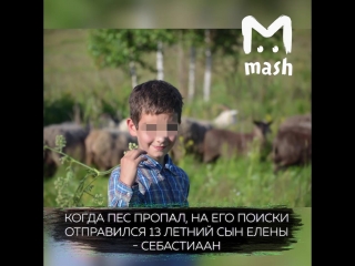 В Орловской области священник пытался зарезать собаку своей прихожанки
