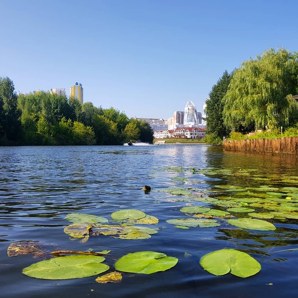 Москва река бронницы