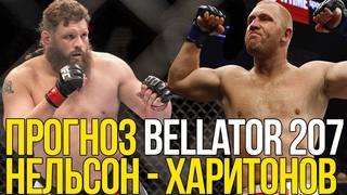 ПРОГНОЗ НА БОЙ РОЙ НЕЛЬСОН - СЕРГЕЙ ХАРИТОНОВ BELLATOR 207 | Fightnews.info