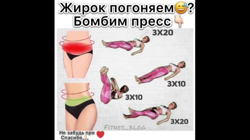 жирок погоняем
