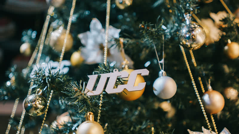 Новогодний корпоратив UCC