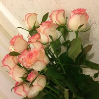 Седа Гасанова