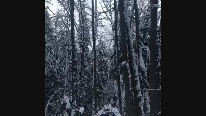 Посмотри моими глазами)