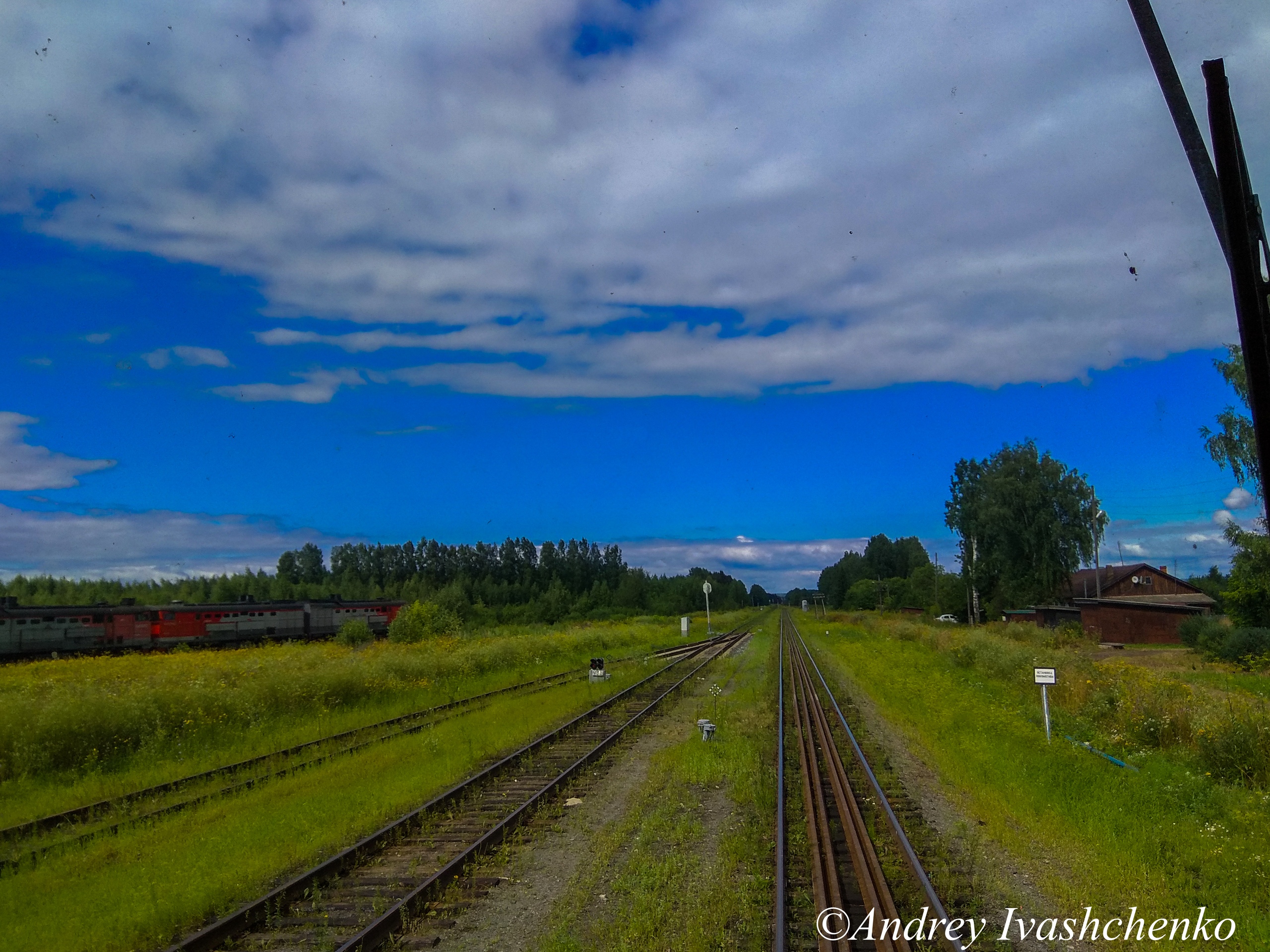 Дизьмино ярский район карта